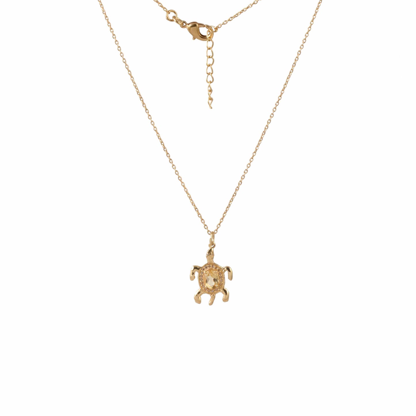 Tortoise Necklace with Gemstones and Modern Look