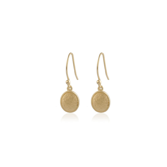 Elegant Gold Finish Plain Disk Shaped Hook Gold Shiny Silver Earring
