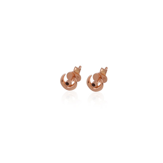 925 Silver Moon Inspire Stone Earring