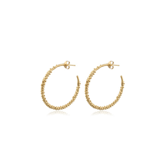 Rawa Studded Gold Platted Silver Earring made with 925 Sterling Silver