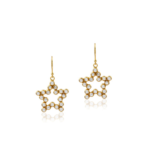 Multi Zircon Multi Gemstone Shiny Silver Earring