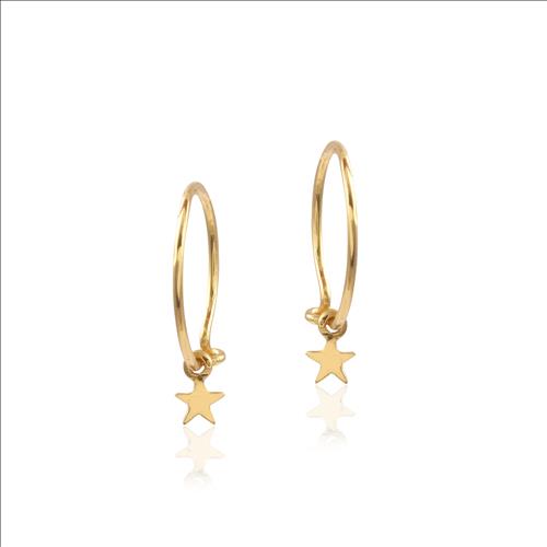 Star drop gold plated  earring
